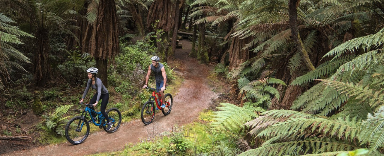mountain biking Rotorua
